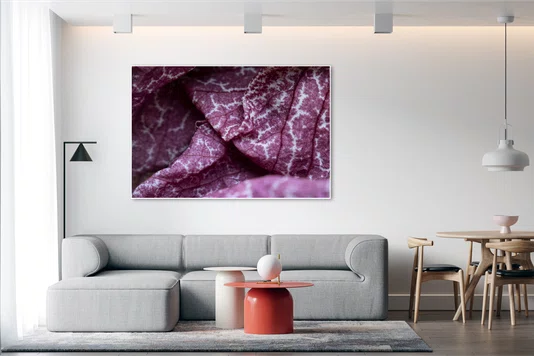 Quadro Aristolochia gigantea Por Ivan Araújo Quadro Aristolochia gigantea Por Ivan Araújo