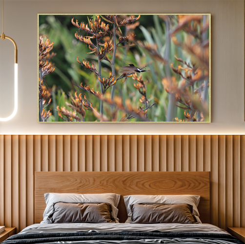 Quadro Beija-flor Por Cida Hoffmann