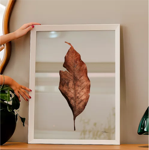 Quadro Folha Seca com Moldura A02 Por Estúdio Flora