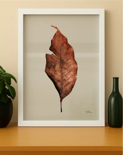 Quadro Folha Seca com Moldura A25 Por Estúdio Flora