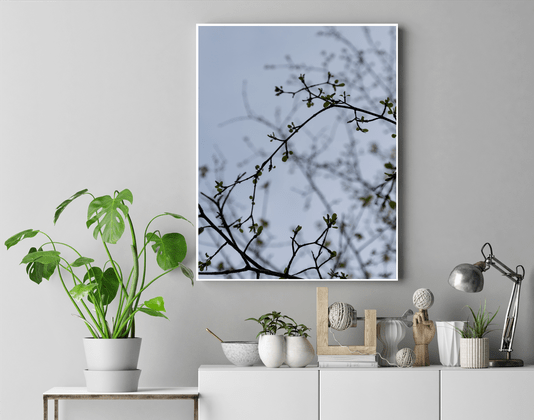 Quadro Folhas Brotando Após o Inverno Por Ivan Araújo Quadro Folhas Brotando Após o Inverno Por Ivan Araújo