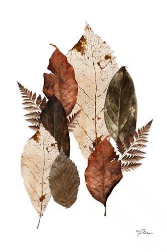 Quadro Folhas do Outono com Moldura A25 Por Estúdio Flora