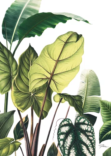Quadro Jardim Suspenso com Moldura A02 Por Estúdio Flora