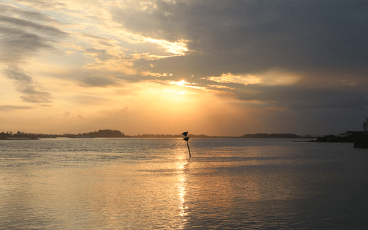 Quadro Luz Sobre a Lagoa Por Cida Hoffmann