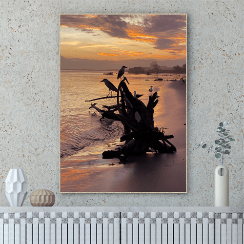 Quadro Pássaros no Nascer do Sol em Laguna Por Cida Hoffmann