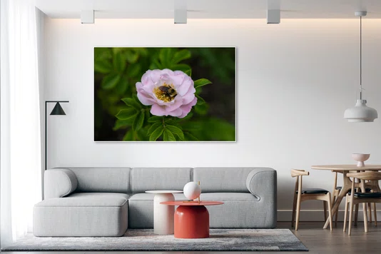 Quadro Polinização de Rosas Por Ivan Araújo Quadro Polinização de Rosas Por Ivan Araújo