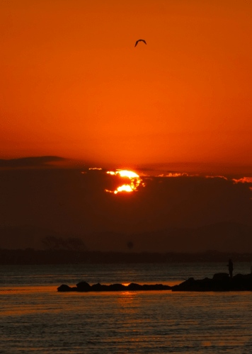 Quadro Sol Poente em Laguna Por Cida Hoffmann