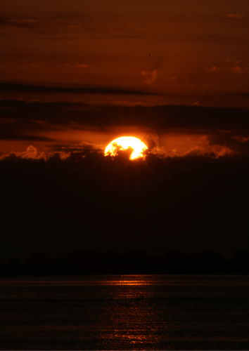 Quadro Sol Poente em Laguna Por Cida Hoffmann