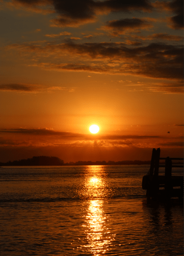 Quadro Trapiche ao Pôr do Sol Por Cida Hoffmann