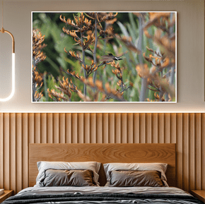 Quadro Beija-flor Por Cida Hoffmann