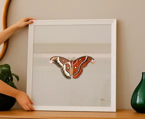 Quadro Borbo com Moldura A02 Por Estúdio Flora