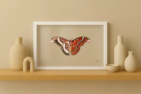 Quadro Borbo com Moldura A25 Por Estúdio Flora