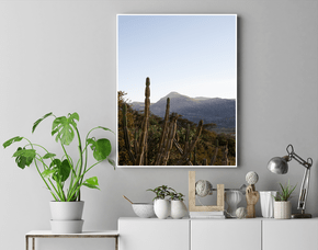 Quadro Cactos e o Relevo de Lapinha da Serra Por Ivan Araújo