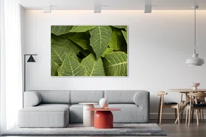 Quadro Composição de Folhas no Jardim do Inhotim Por Ivan Araújo