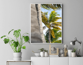 Quadro Coqueiros em Itacimirim Bahia Por Ivan Araújo