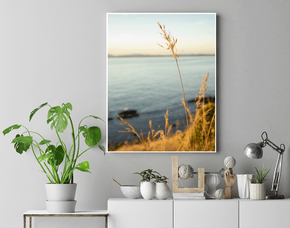 Quadro Final de Tarde em Punta del Este Por Ivan Araújo