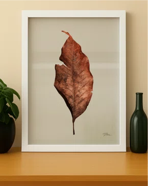 Quadro Folha Seca com Moldura A25 Por Estúdio Flora