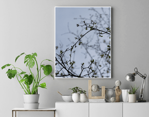 Quadro Folhas Brotando Após o Inverno Por Ivan Araújo