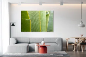 Quadro Folhas de Ravenala madagascariensis Por Ivan Araújo