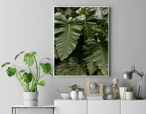 Quadro Folhas no Jardim do Inhotim Por Ivan Araújo