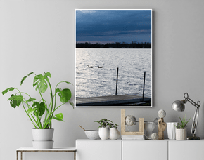 Quadro Gansos em um Lago no Começo da Manhã Por Ivan Araújo