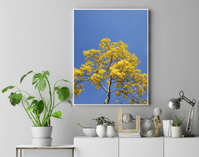 Quadro Ipê Amarelo no Interior de Minas Gerais Por Ivan Araújo