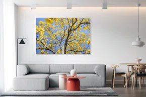 Quadro Ipê Amarelo no Interior de Minas Gerais Por Ivan Araújo