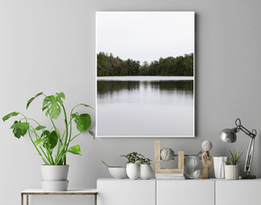 Quadro Lago Espelhando a Floresta de Pinheiros Por Ivan Araújo