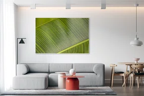 Quadro Linhas e Detalhes da Folha de Bananeira Por Ivan Araújo