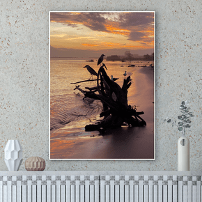 Quadro Pássaros no Nascer do Sol em Laguna Por Cida Hoffmann