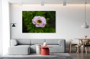 Quadro Polinização de Rosas Por Ivan Araújo