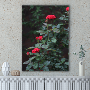 Quadro Rosas Vermelhas Por Cida Hoffmann