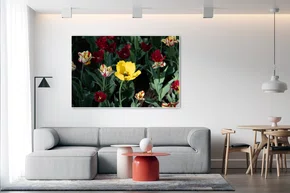 Quadro Tulipas na Primavera de Ottawa Por Ivan Araújo