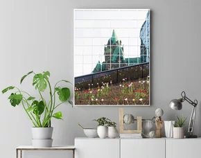 Quadro Tulipas no Primavera e Reflexo do Parlamento do Canadá Por Ivan Araújo
