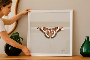 Quadro Voo Suave com Moldura A02 Por Estúdio Flora