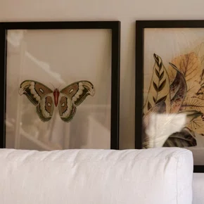 Quadro Voo Suave com Moldura A25 Por Estúdio Flora