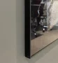 Quadro Coleção de Insetos com Várias Cores e Tamanhos Por Ivan Araújo