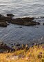 Quadro Final da Tarde em Punta del Este Por Ivan Araújo
