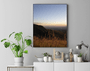 Quadro Final de Tarde na Região da Serra da Moeda Minas Gerais Por Ivan Araújo