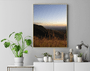 Quadro Final de Tarde na Região da Serra da Moeda Minas Gerais Por Ivan Araújo