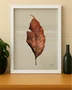 Quadro Folha Seca com Moldura A25 Por Estúdio Flora