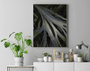 Quadro Folhas no Jardim do Inhotim Por Ivan Araújo