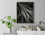Quadro Folhas no Jardim do Inhotim Por Ivan Araújo