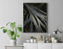 Quadro Folhas no Jardim do Inhotim Por Ivan Araújo