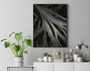 Quadro Folhas no Jardim do Inhotim Por Ivan Araújo