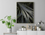 Quadro Folhas no Jardim do Inhotim Por Ivan Araújo