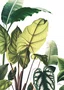 Quadro Jardim Suspenso com Moldura A25 Por Estúdio Flora