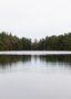 Quadro Lago Espelhando a Floresta de Pinheiros Por Ivan Araújo