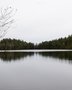 Quadro Lago Espelhando a Floresta de Pinheiros Por Ivan Araújo
