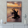 Quadro Pássaros no Nascer do Sol em Laguna Por Cida Hoffmann